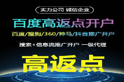 竞价SEM案例分享：行业霸主崛起之路